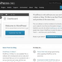 Making Self-hosted WordPress Websites SEO-Friendly